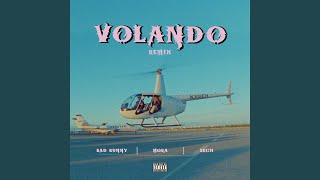 Volando (Remix)