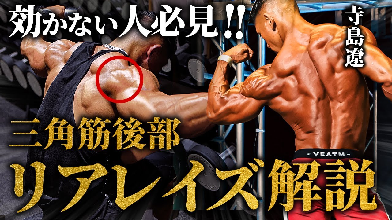 【効かせにくい種目No.1】肩の後ろ/リアレイズを寺島遼が徹底解説！【永久保存版】