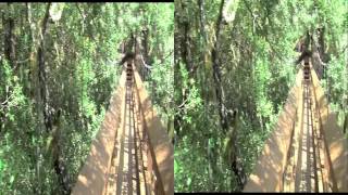Myakka State Park Tree Canopy Walk in 3D