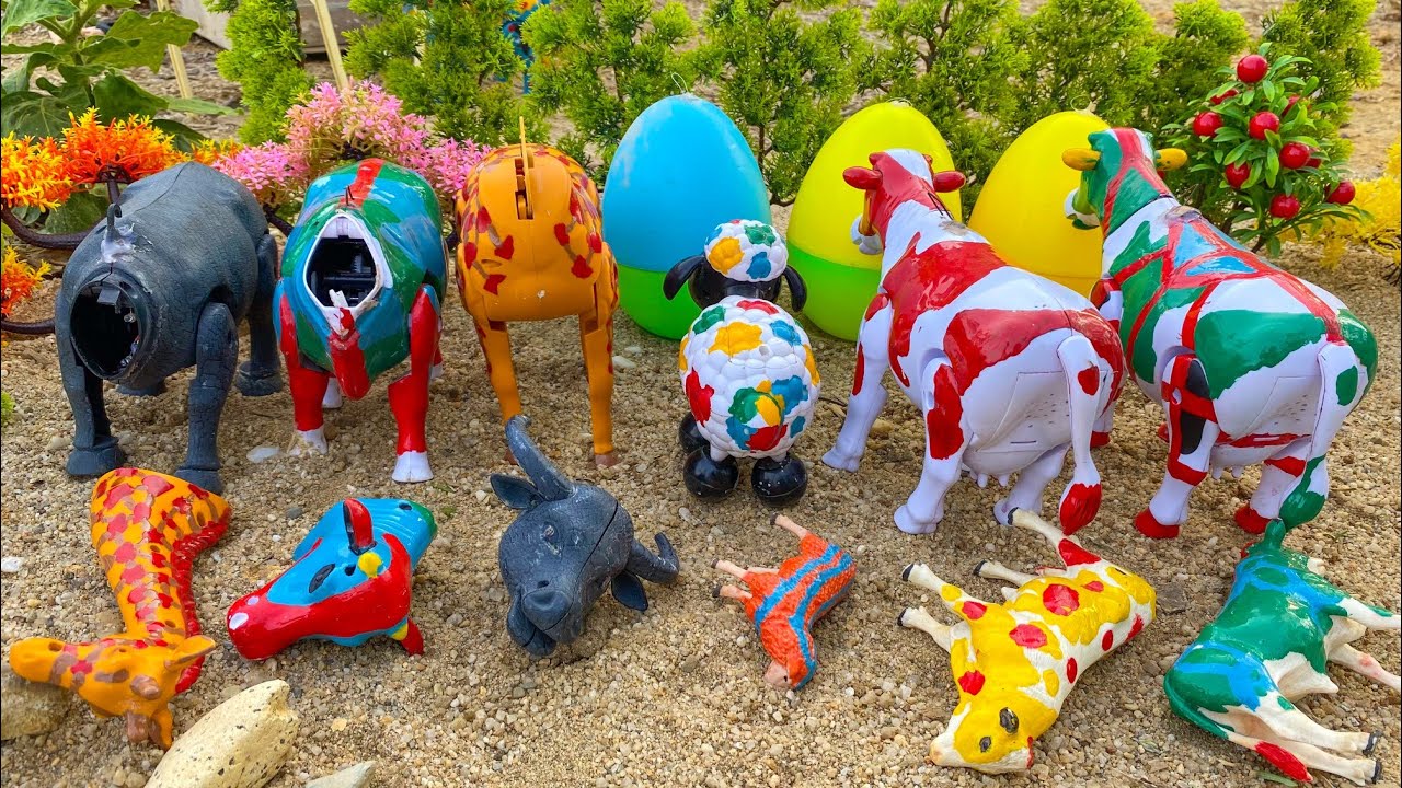 WADIDAU ‼️ PROSES POTONG SAPI KURBAN | Mencari Dan Memberi Makan Sapi, Cow Videos #2