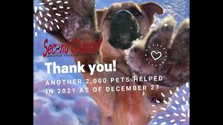 Second Chance Animal Rescue Society 2021 Review