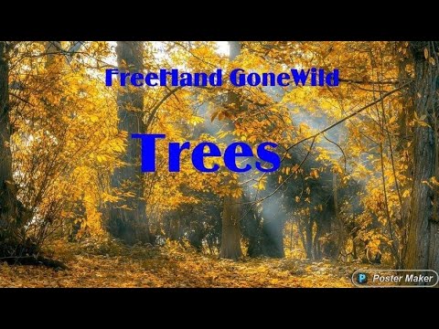 FREEHAND GONE WILD COLLAB | TREES - YouTube