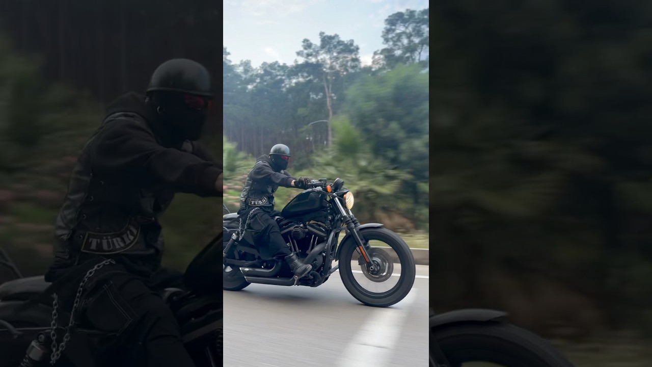 First my Harley Davidson 🔥Iron 883