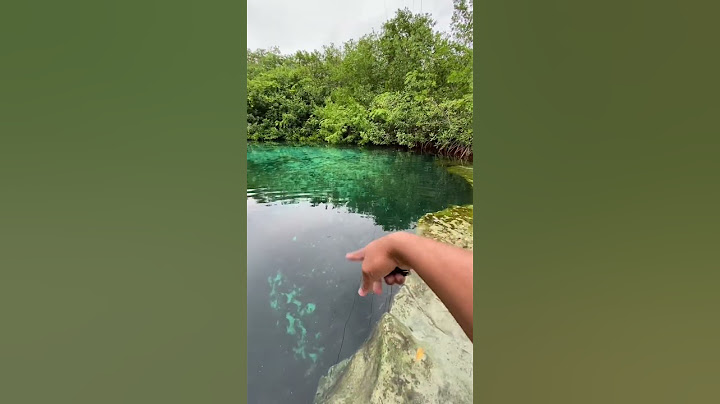 Aquí hay un COCODRILO 🐊😱 //cenote manatí // adunadjtv // tulum 🌿