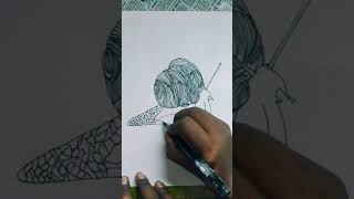 Art By Bb Like Comment Artist Bablu Art Video