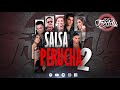 Salsa Perucha 2 Mix - DJ Freddy