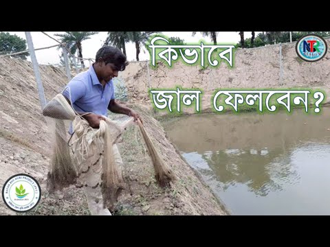 ভিডিও: কিভাবে জাল ফেলবেন