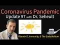 Coronavirus Pandemic Update 97: Vitamin D &amp; COVID-19 Immunity, The Endothelium, &amp; Deficiencies