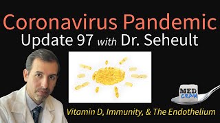 Coronavirus Pandemic Update 97: Vitamin D \& COVID-19 Immunity, The Endothelium, \& Deficiencies