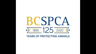 125 Years | BC SPCA