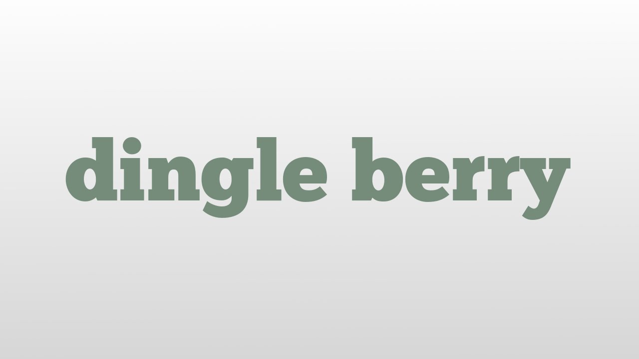 dingle berry meaning and pronunciation YouTube