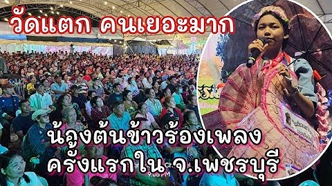 วัดแตกคนล้นทุกมุม คลิปเต็มน้องต้นข้าวร้องเพลง วัดบุญทวี จ. เพชรบุรี