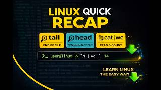 Linux Commands Full Recap 🔥 | tail, head, cat, wc Explained | Beginner to Pro (Hindi)