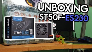 SilverStone ST50F-ES230 PSU | Unboxing