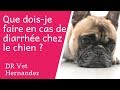 Que doisje faire en cas de diarrhe chez mon chien 