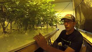 Indoor heat stress