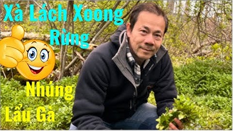 HÁI XÀ LÁCH XOONG MỌC DẠI TRONG RỪNG | Xà Lách Xoong Nhúng Lẩu Gà #hungmesanbat