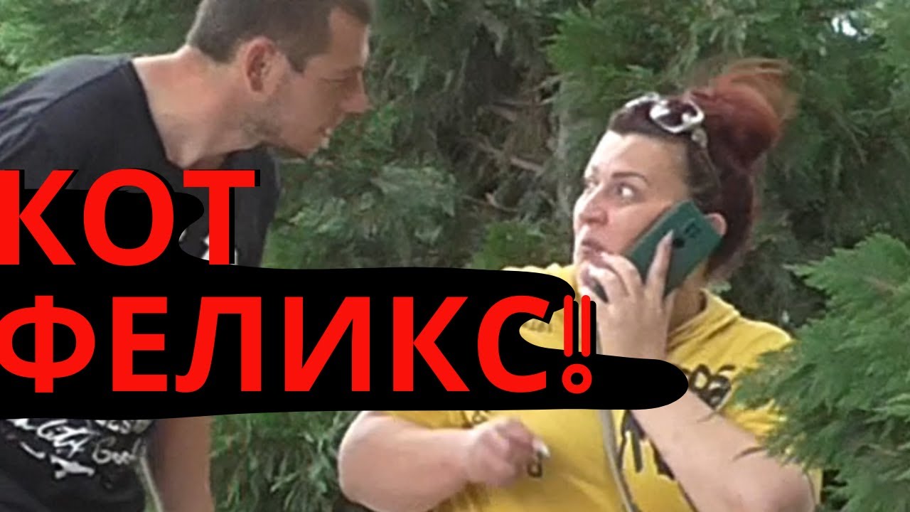 Кот Феликс. пранк над девушкой