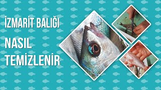 İzmarit Balığı Nasıl Temizlenir ?