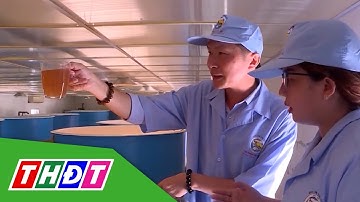 Các cơ sở sản xuất tôm giống tăng công suất | THDT