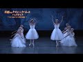 2019年7月開幕！「華麗なるクラシックバレエ・ハイライト～ロシア４大バレエ劇場の競演～」