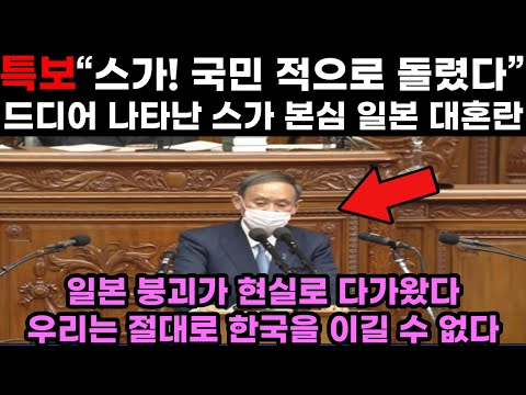 일본반응｜특보 ‘스가! 국민 적으로 돌렸다’ 스가 본심 나타나자 일본 대혼란 상황
