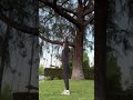 Backflip Attempt