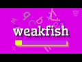 How to say "weakfish"! (High Quality Voices)