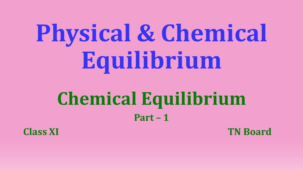 Phy & Chem Equilibrium Class 11/ Part 1/ Chemical Equilibrium / TN ...