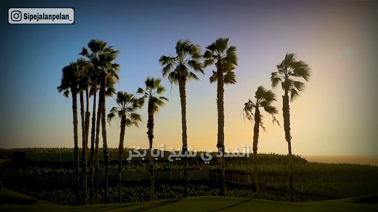 المدد ياشيخ أبوبكر بن سالم