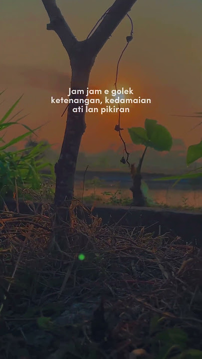 WAYA,E WAYAE LURR....#jowohits #storytime #storyjawa #shorts