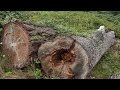 Beginning of video
