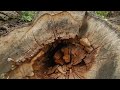 End of video