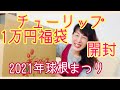 チューリップ福袋の中身 10,000円 ネタバレ【ガーデニング】2021年 球根まつり