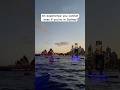 Imagine, this could be you!! 🛶 #sydney #sydneylife #sydneytravelguide