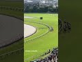 【府中の直線】府中の長ーい直線 525メートル ☀️良馬場 #shorts #東京競馬場 #競馬