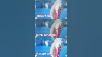 $40 Difference – Is It Worth It? 🔥Magcubic HY300 PRO vs L018 #ProjectorComparison #MiniProjector