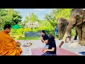 Thailand Elephant Sanctuary - What You Should Know - Bangkok to Kanchanaburi