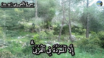 ( الله الذي انزل الكتاب بالحق والميزان) تلاوة رائعة للشيخ عبدالله الموسى من سورة الشورى