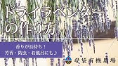 ドライラベンダーとハーブティー ハーブと暮らす休日 Youtube