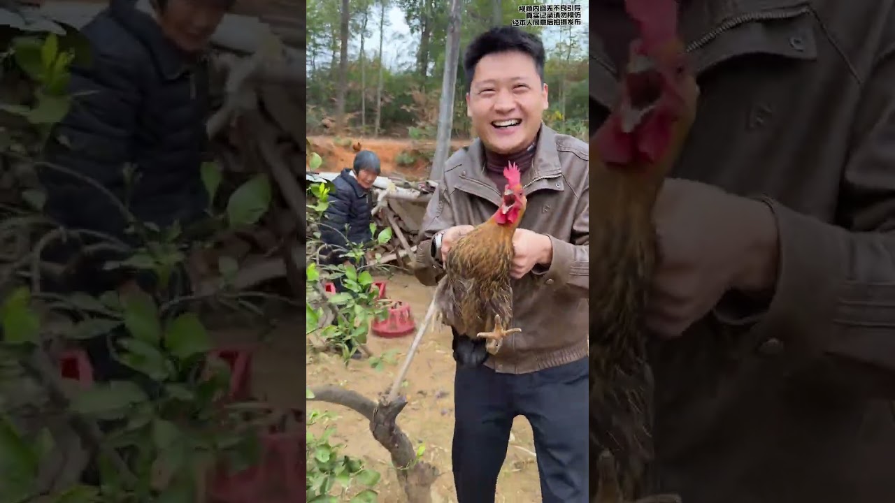 Unveiling the Tiny World in a Single Leaf and Tea