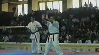 World Championship Kyokshinkay Karete Rustem Altay 28 06 09 Resimi