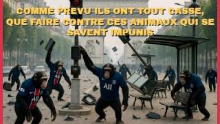 COMME PREVU LES ANIMAUX ONT TOUT CASSE A PARIS ... QUE FAIRE ? JE VOS EXPLIQUE POURQUOI ET COMMENT !