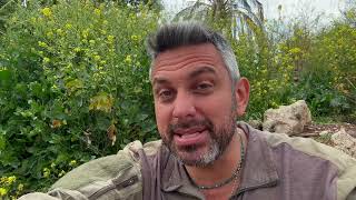 Update Day 889 Swords Of Iron Roaring Lion Breathe