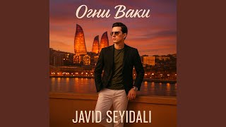 Огни Баку - Javid Seyidali