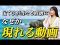 【※5秒以内に再生できた人のみ】当たる直前に現れる映像を最後まで見届けた人のもとへ、数億円の富が舞い込みます|宝くじ高額当選|浄化ヒーリング|金運上昇