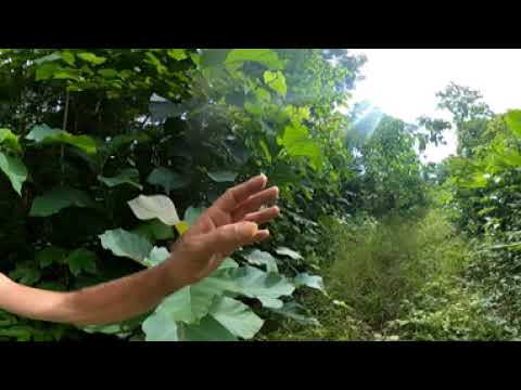 Land Tour 360: Season Two content media