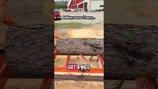 Milling Some Cherry with a Doggy