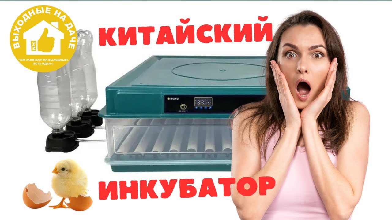 Инкубатор с автоматическим переворотом яиц 🐣🐤🐥