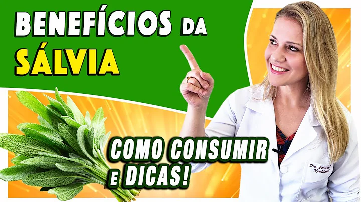 Benefcios da Slvia - Para Que Serve? Emagrece? E o...
